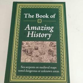 The Book of Amazing Histor   精装
