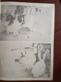 美术插页（单张），刘奎龄工笔动物画四幅《虎》《羊》《兔》《狗》