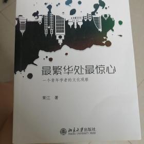 最繁华处最惊心：一个青年学者的文化观察