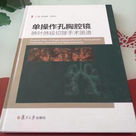 单操作孔胸腔镜肺叶肺段切除手术图谱