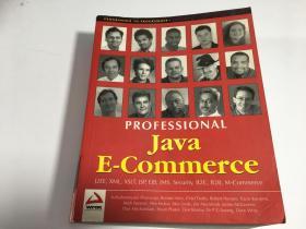 Professional Java E-Commerce英文原版