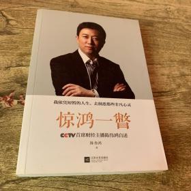 惊鸿一瞥：CCTV首席财经主播陈伟鸿自述