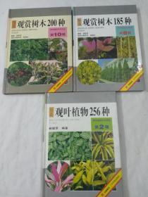 观叶植物256种.观赏树木200种.观赏树本185种〈三本合出售〉