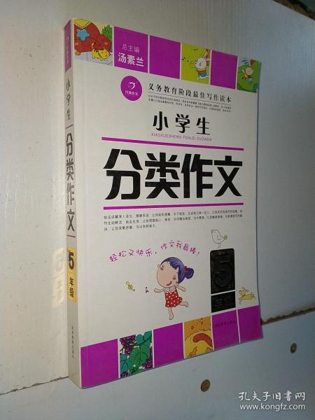 小学生分类作文（5年级）