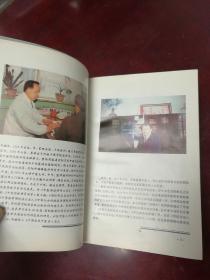 中医心病诊治学