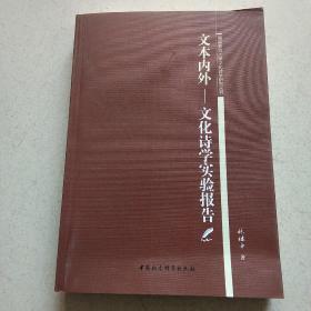 文本内外：文化诗学实验报告