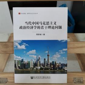 当代中国马克思主义政治经济学的若干理论问题/居安思危世界社会主义小丛书