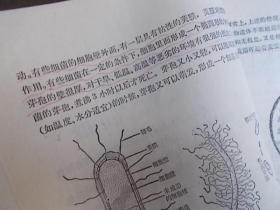 九年义务教育三年制初级中学教科书：生物 第一册 上下