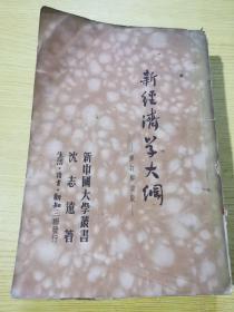 新经济学大纲 沈志