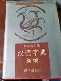 汉语字典新编