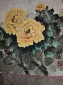 王迪生画