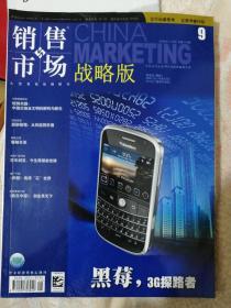 销售与市场战略版2008091011