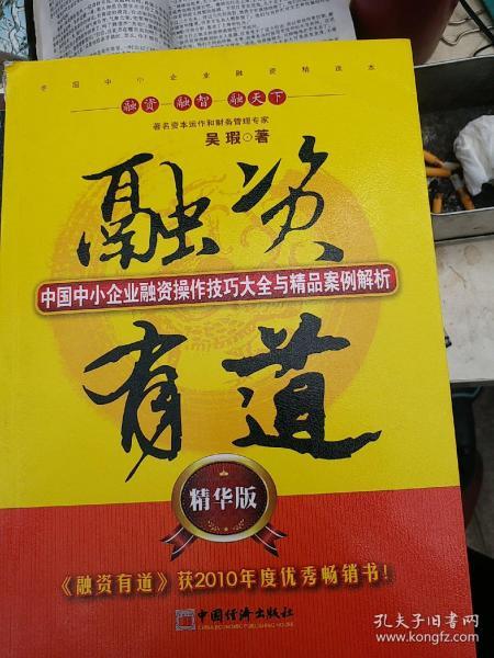 融资有道：中国中小企业融资操作技巧大全与精品案例解析