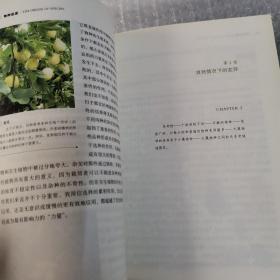 文化伟人代表作图释书系：物种起源