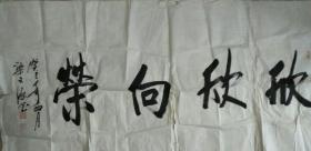 字画十三
