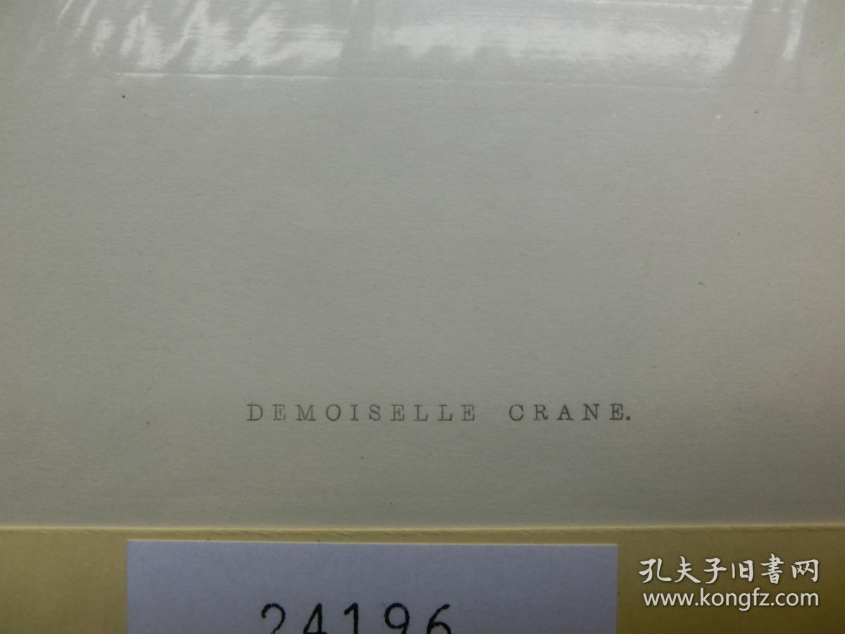 【百元包邮】《蓑羽鹤蛋》 手工上色 木刻版画 1876年 带卡纸装裱  （PM00415）