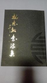 戚志敏书法集（全一册）