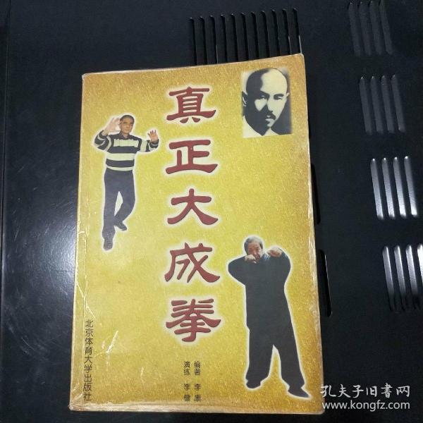 真正大成拳