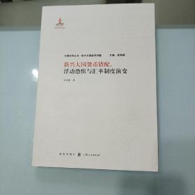 新兴大国货币错配.浮动恐惧与汇率制度演变