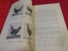 山东省家禽地方品种资源调查汇编（1978年一版一印图示本）