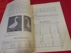 山东省家禽地方品种资源调查汇编（1978年一版一印图示本）