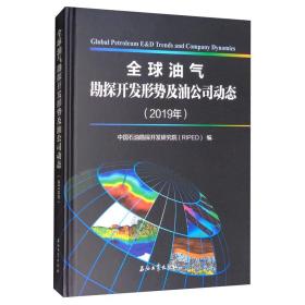 （精装）全球油气勘探开发形势及油公司动态2019年