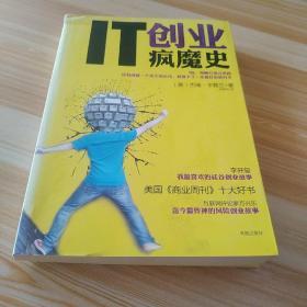 IT创业疯魔史