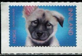 挪威 2019 宠物 狗 不干胶 邮票