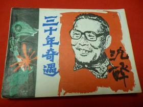 三十年奇遇