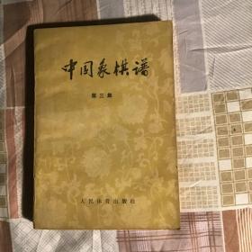 中国象棋谱（第三集）