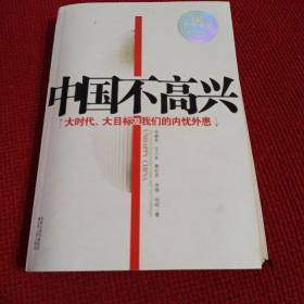 中国不高兴：大时代大目标及我们的内忧外患