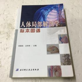 人体局部解剖学标本图谱