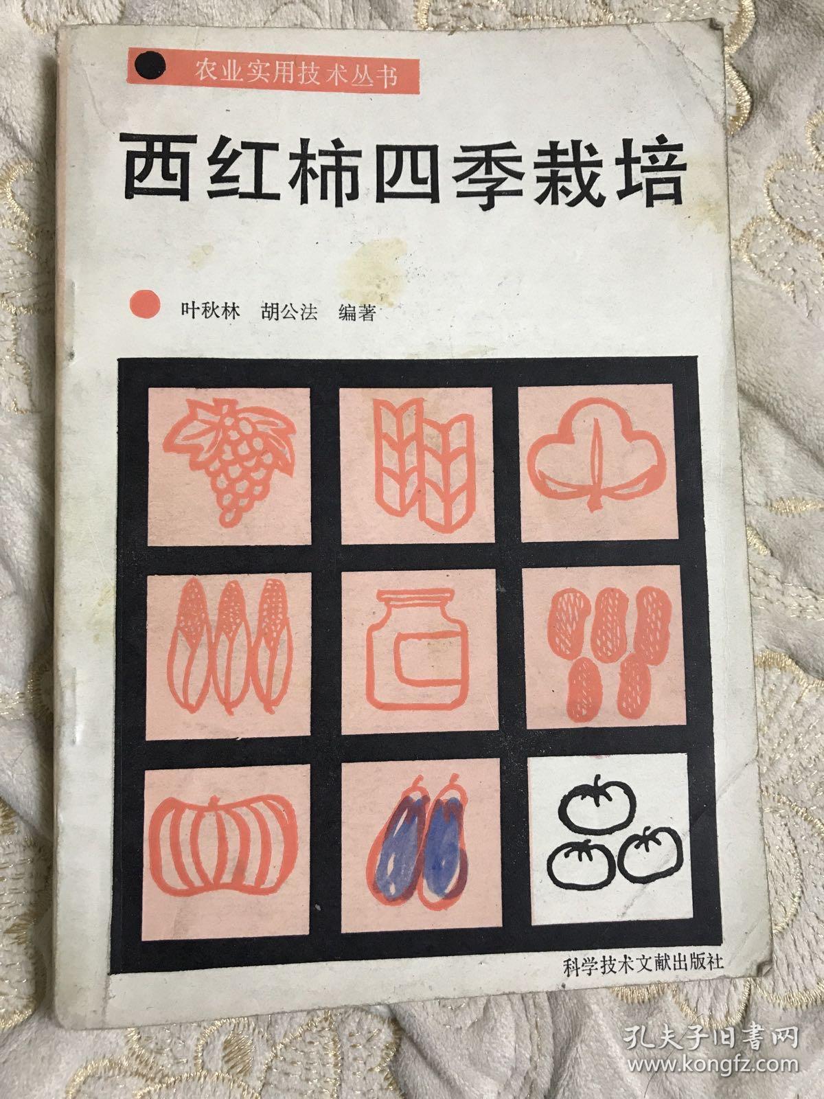 西红柿四季栽培