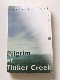 Pilgrim at Tinker Creek