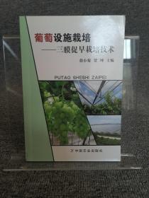 葡萄设施栽培：三膜促早栽培技术