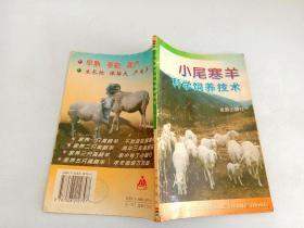 小尾寒羊科学饲养技术