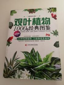 观叶植物1000种经典图鉴