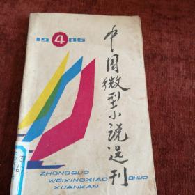 《中国微型小说选刊》