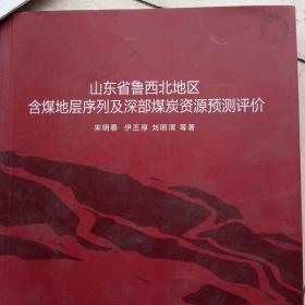 山东省鲁西北地区含煤地层序列及深部煤炭资源预测评价