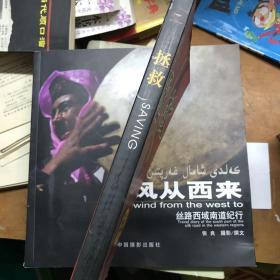 拯救：揭示企业起死回生、反败为胜的秘密