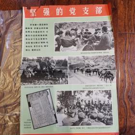 云南省宣威县松林人民公社6页