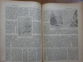 《旅行杂志》第24卷第6期 1950年6月号