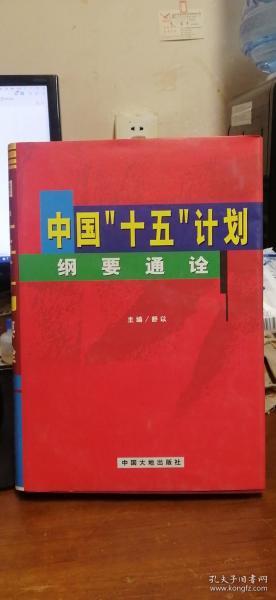 中国“十五”计划纲要通诠