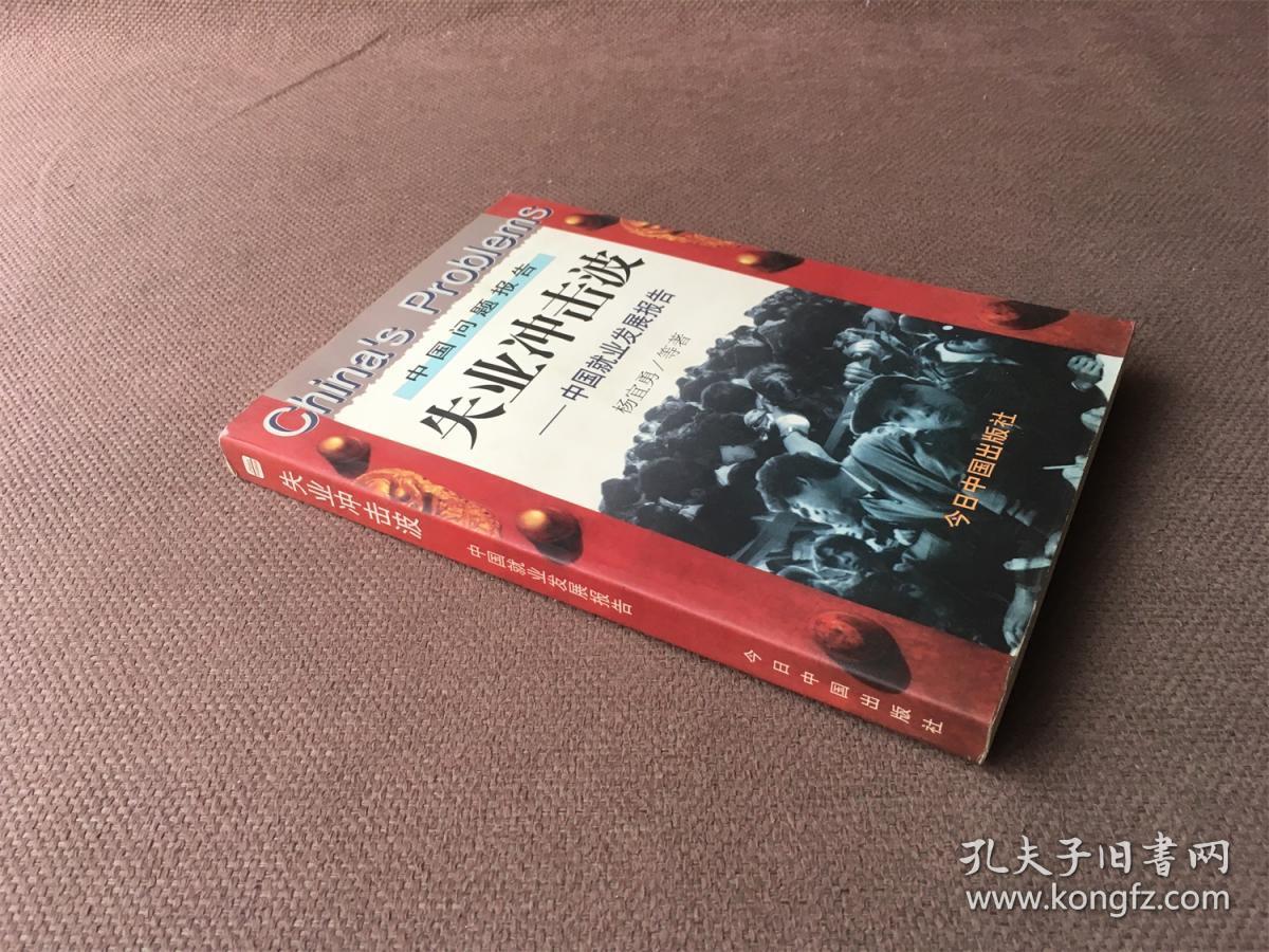 中国问题报告：失业冲击波——中国就业发展报告