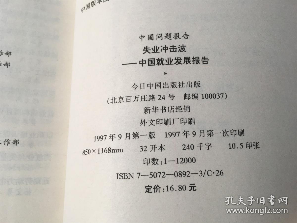 中国问题报告：失业冲击波——中国就业发展报告