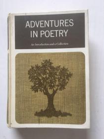 Adventures in Poetry: An Introduction and a Collection by Edwin C. Custer