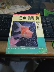 金鱼锦鲤热带鱼