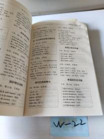 黑英语（初级）　