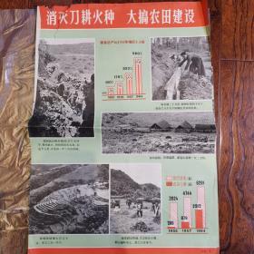 云南省宣威县松林人民公社6页