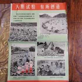 云南省宣威县松林人民公社6页